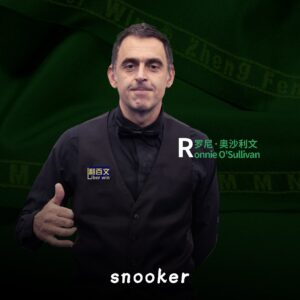 Liber Win 68566 - 12ft Snooker Table Cloth Pack - Image 4